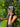 headbands